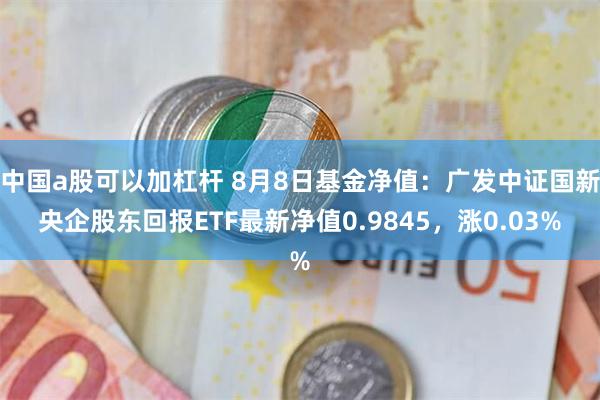 中国a股可以加杠杆 8月8日基金净值：广发中证国新央企股东回报ETF最新净值0.9845，涨0.03%