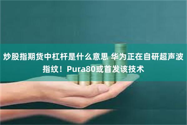 炒股指期货中杠杆是什么意思 华为正在自研超声波指纹！Pura80或首发该技术