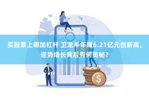 买股票上哪加杠杆 卫龙半年赚6.21亿元创新高，逆势增长背后有何奥秘？