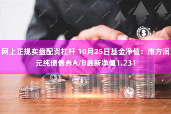 网上正规实盘配资杠杆 10月25日基金净值：南方润元纯债债券A/B最新净值1.231