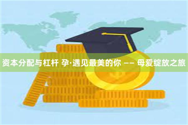 资本分配与杠杆 孕·遇见最美的你 —— 母爱绽放之旅