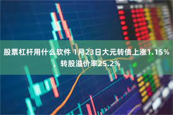 股票杠杆用什么软件 1月23日大元转债上涨1.15%，转股溢价率25.2%